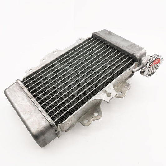 Radiator for Honda Sh 125 PES 125 Injection 19010-KTF-641